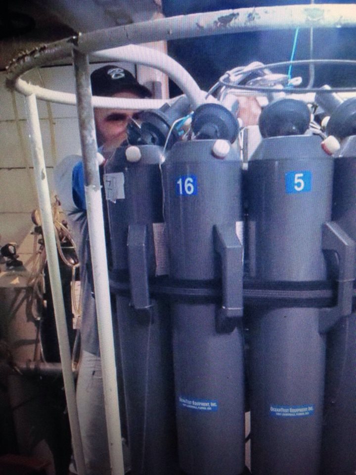 User profile picture